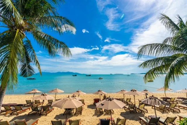 Playa con palmeras, sombrillas y camastros bajo un cielo azul