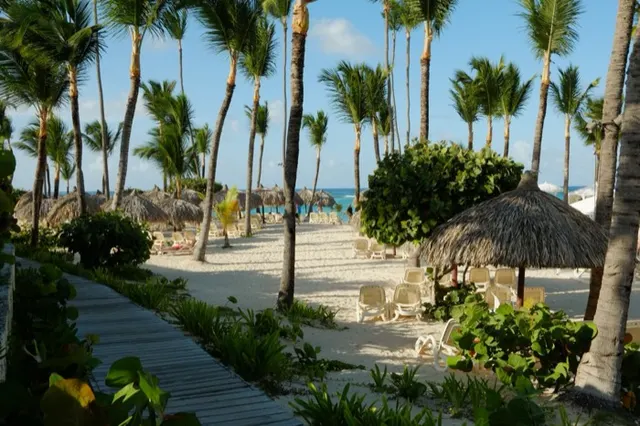 Sendero entre palmeras junto a la playa de un resort