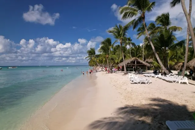 Playa de arena blanca bordeada de palmeras