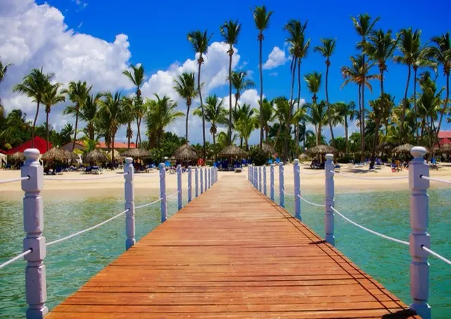Muelle de madera entre palmeras bajo un cielo azul