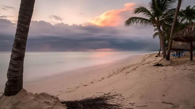Playa con palmeras bajo un cielo de nubes al atardecer