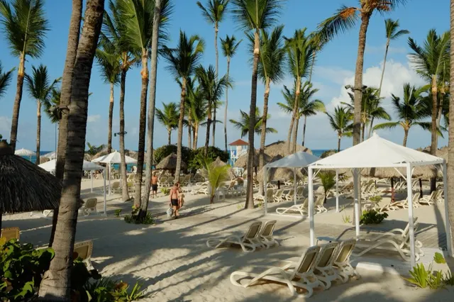 Playa de un resort con palmeras, sombrillas y camastros